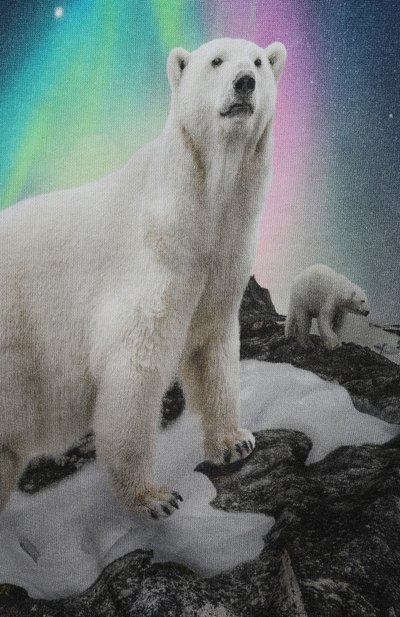 Хлопковый свитшот MOLO, арт. 1W24J201, фото 3