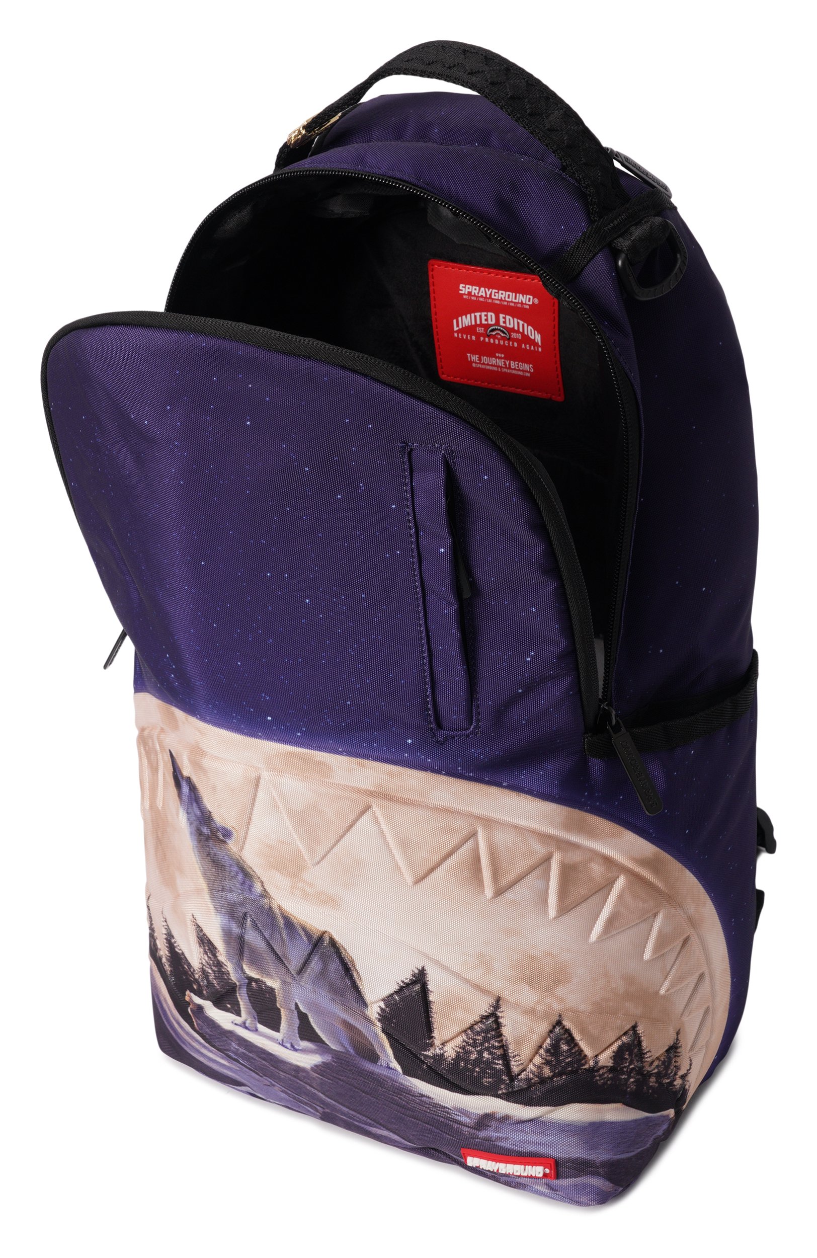 Рюкзак SPRAYGROUND, арт. 910B8564NSZ/M00N H0WLER BACKPACK, фото 3