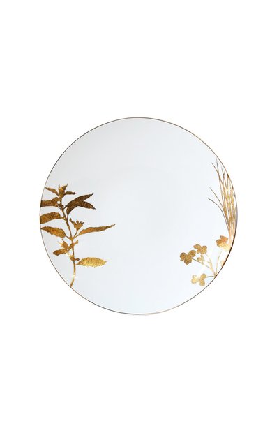 Набор из 4-х обеденных тарелок vegetal or BERNARDAUD, арт. 0731/23577, фото 4