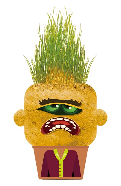 Игровой набор садовод капризный монстр HAPE, арт. 848103_HP