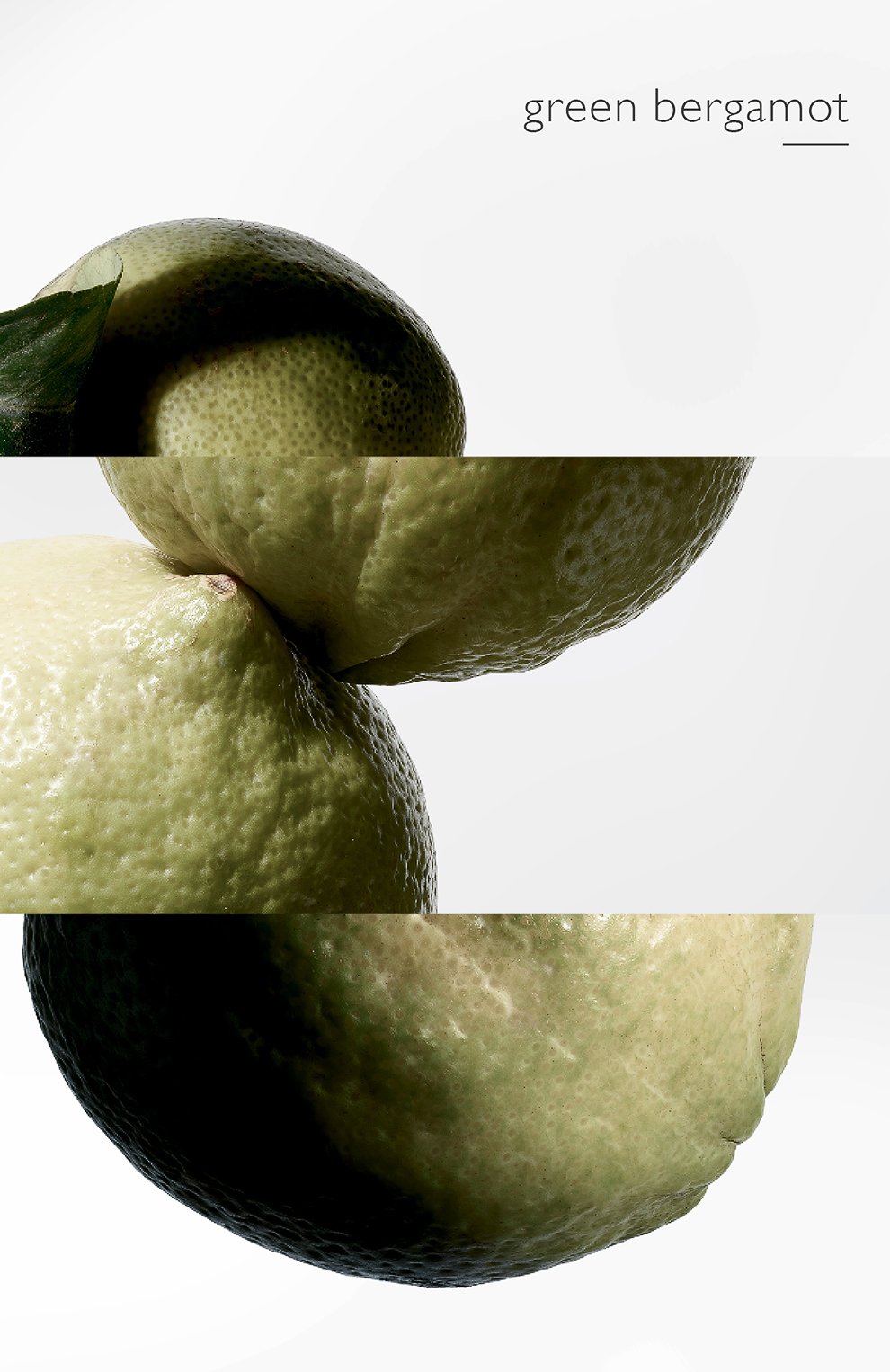 Парфюмерная вода terre d'hermès eau intense vétiver (100ml) HERMÈS, арт. 40946H, фото 5