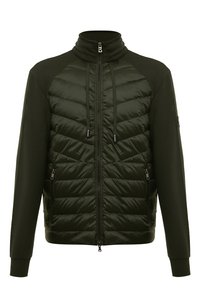 Темно-зеленый