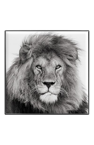 Тени для век luminescent eye shade, оттенок lion CHANTECAILLE, арт. 656509172030, фото 2