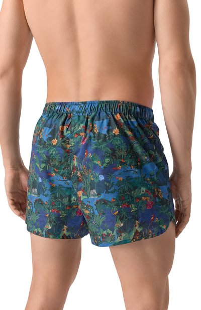 Хлопковые боксеры DEREK ROSE, арт. 6050/LEDB085, фото 3