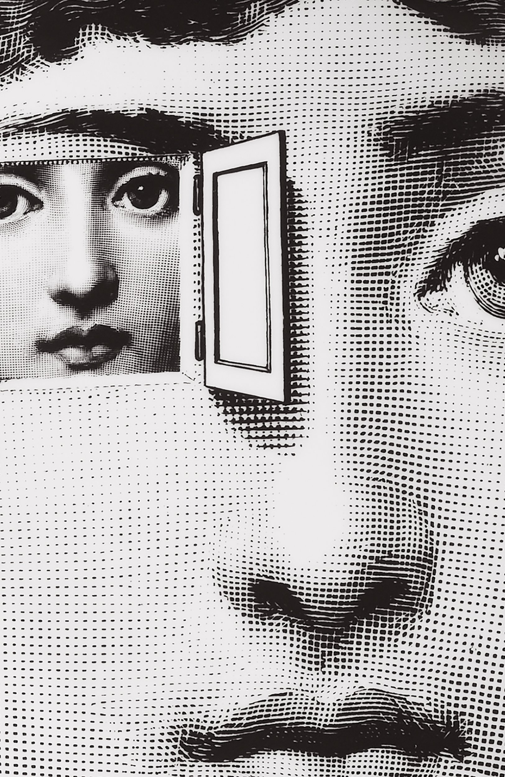 Декоративная тарелка tema e variazioni n.116 FORNASETTI черно-белого цвета по цене 22500 руб., арт. PTV116X, фото 3 Декоративная тарелка tema e variazioni n.116 FORNASETTI, арт. PTV116X, фото 3