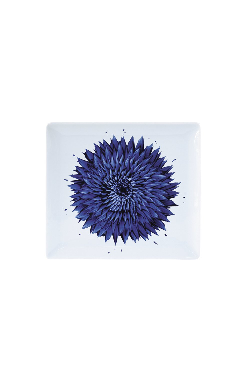 Блюдо in bloom BERNARDAUD, арт. 1768/8230, фото 1