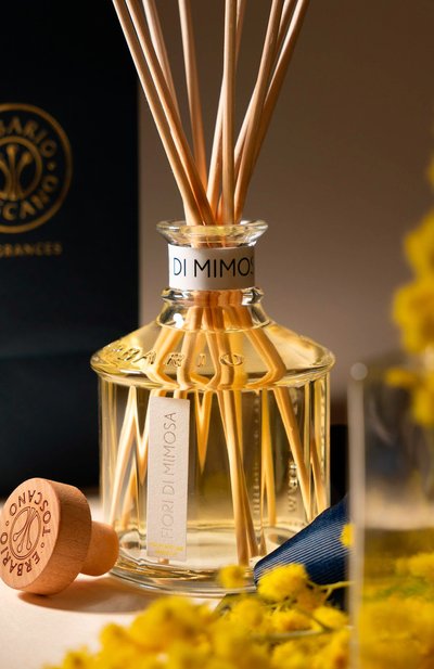 Диффузор fiori di mimosa (250ml) ERBARIO TOSCANO бесцветного цвета по цене 10400 руб., арт. DA25FM, фото 3 Диффузор fiori di mimosa (250ml) ERBARIO TOSCANO, арт. DA25FM, фото 3