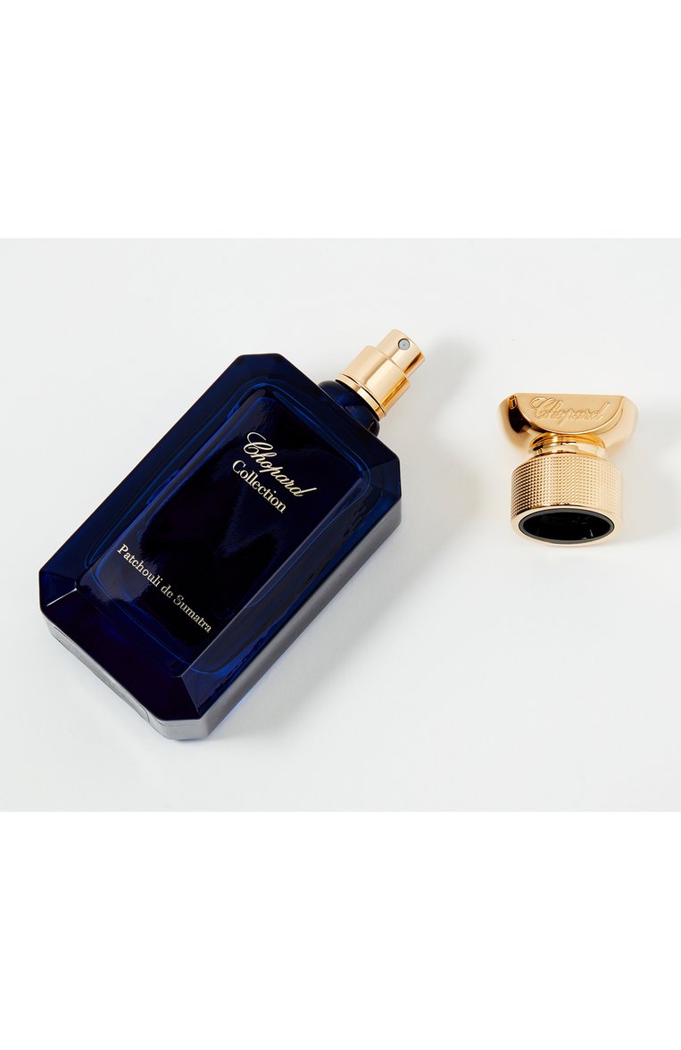 Парфюмерная вода patchouli de sumatra (100ml) CHOPARD бесцветного цвета, арт. 7640177363299 | Фото 2 (Региональные ограничения белый список (Axapta Mercury): Не проставлено; Нос: Не проставлено; Тип продукта - парфюмерия: Парфюмерная вода; Ограничения доставки: flammable)