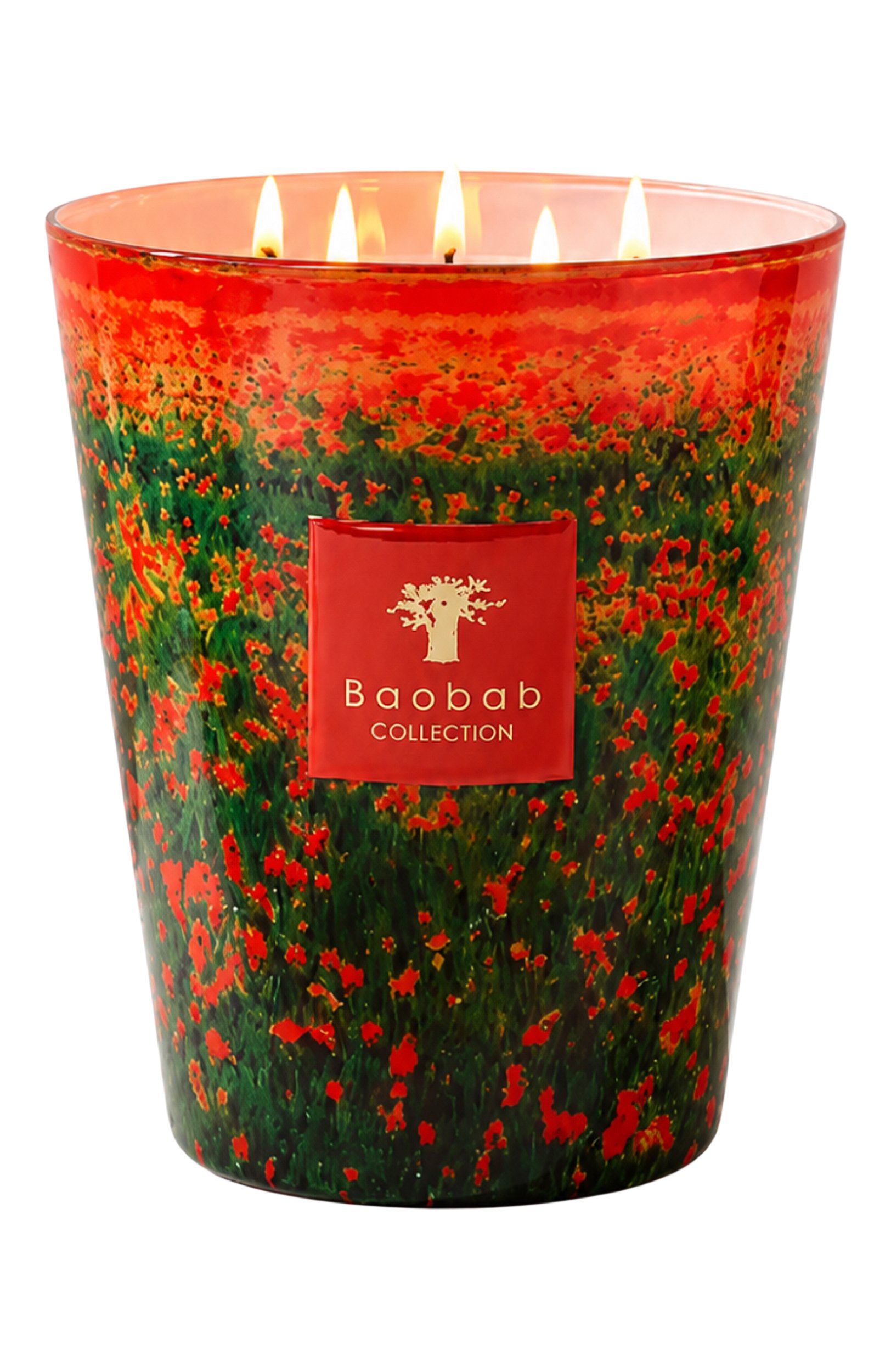 Свеча arty flowers poppies max 24 (3000g) BAOBAB бесцветного цвета по цене 47250 руб., арт. 5415198528468, фото 1 Свеча arty flowers poppies max 24 (3000g) BAOBAB, арт. 5415198528468, фото 1