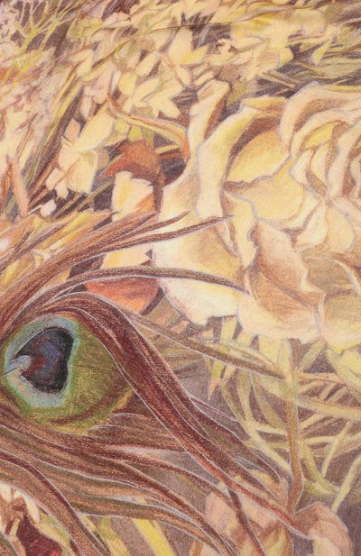 Платок «брабантские кружева» GOURJI, арт. T23BRK10R, фото 5