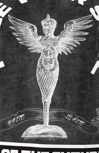 Хлопковая футболка MCQ SWALLOW черного цвета по цене 9735 руб., арт. 494256/RNJ05, фото 5 Хлопковая футболка MCQ SWALLOW, арт. 494256/RNJ05, фото 5