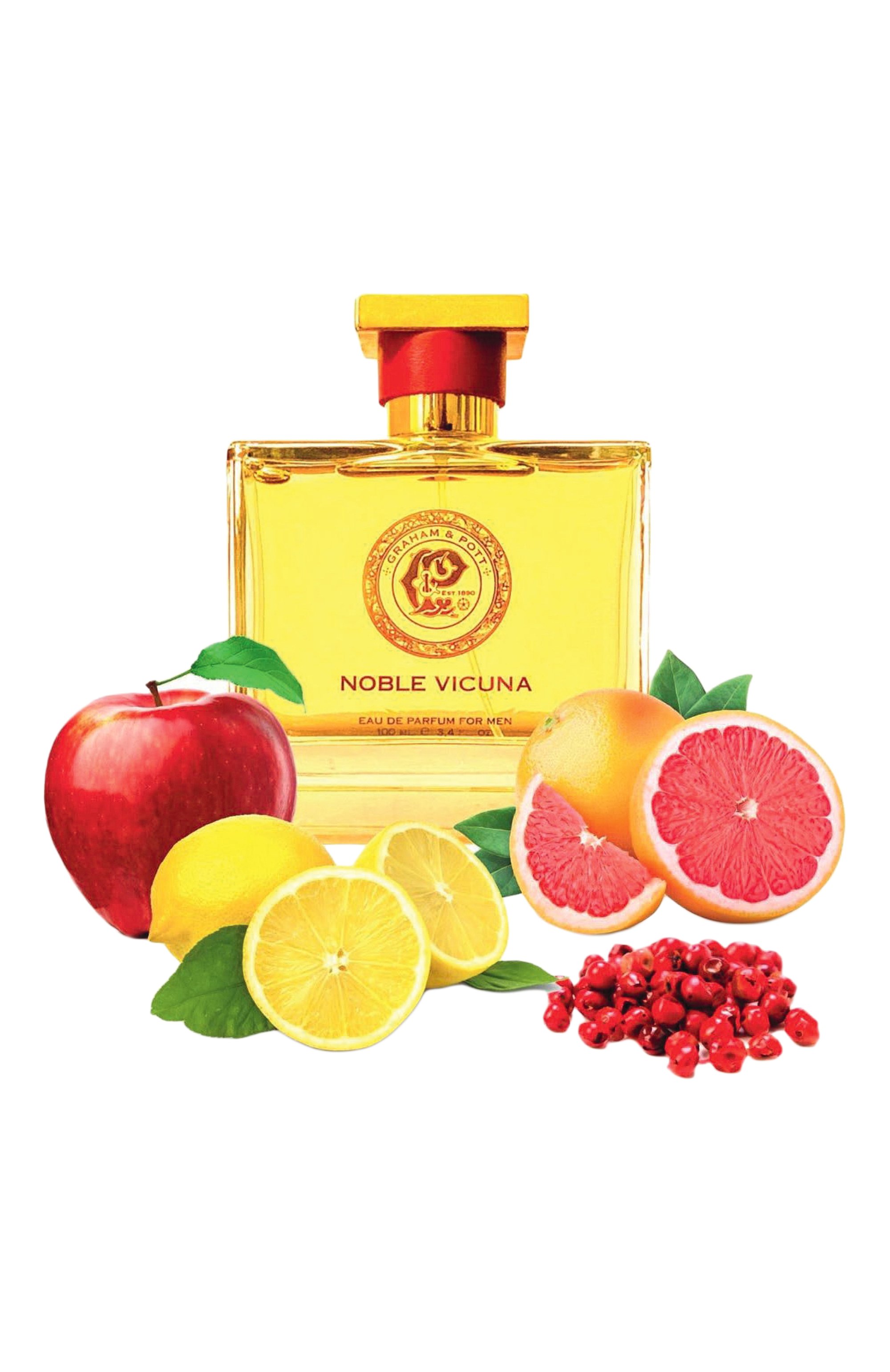 Парфюмерная вода noble vicuna (100ml) GRAHAM AND POTT, арт. 5060729129999, фото 4