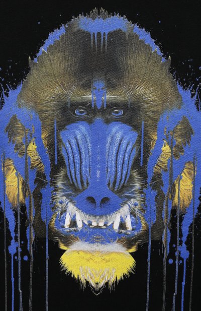 Хлопковый свитшот MARCELO BURLON KIDS OF MILAN, арт. 21E/B/MB/2002/0020/8-14Y, фото 3