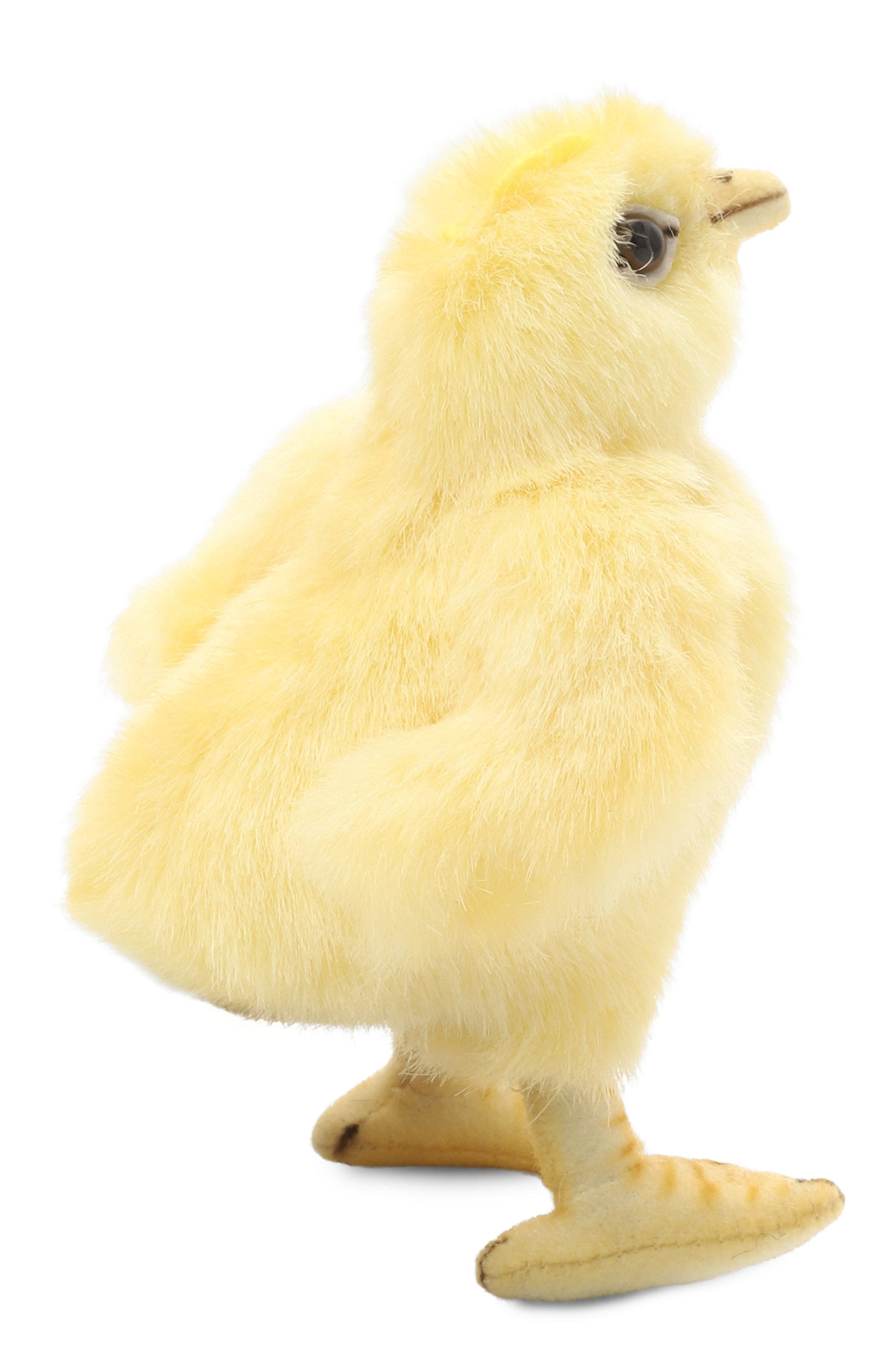 Мягкая игрушка цыпленок брама HANSA, арт. 5378, фото 3