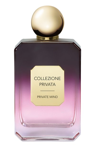 Мужской парфюмерная вода private mind (100ml) VALMONT, арт. 802002