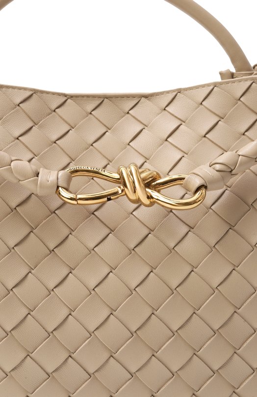Сумка Andiamo medium Bottega Veneta 766016/VCPP1 Бежевый  766016/VCPP1 Фото 3