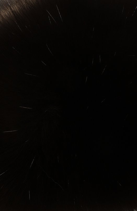 Шапка-ушанка AntiStorm с отделкой из соболя Black Sable BS-24004EB Чёрный  BS-24004EB Фото 3