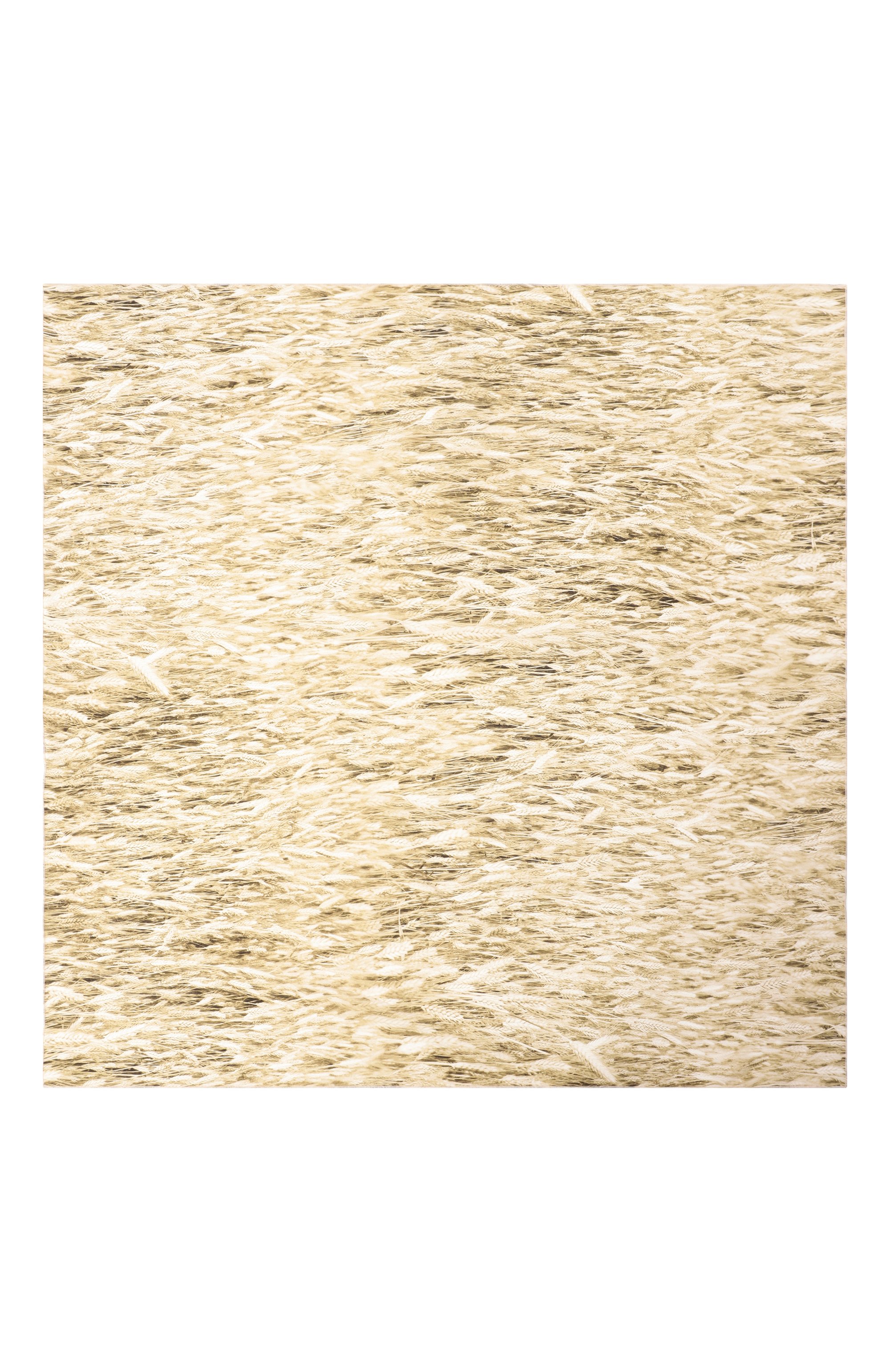 Шелковый платок PETAR PETROV, арт. S25SC1, фото 3