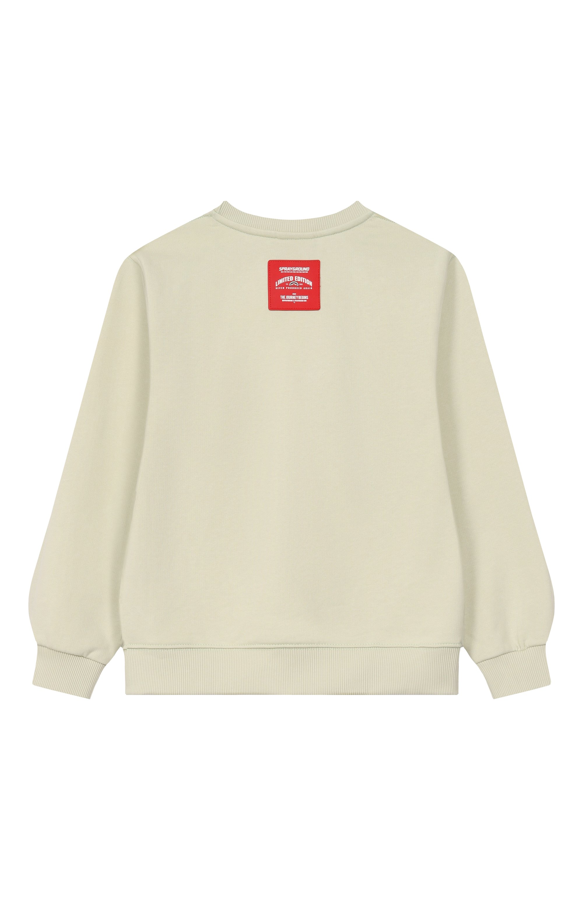 Хлопковый свитшот SPRAYGROUND, арт. SPY1386ESAGE/SHARK BASIC SAGE REGULAR CREWNECK, фото 2