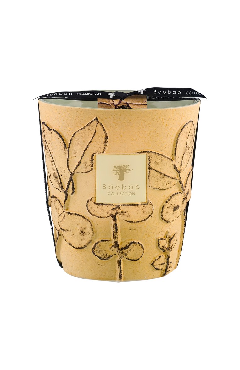 Свеча folia max 16 garrigue (1100g) BAOBAB бесцветного цвета, арт. 5415198518889 | Фото 1 (Региональные ограничения белый список (Axapta Mercury): Не проставлено; Нос: Не проставлено; Ог�раничения доставки: flammable, fragile-2)