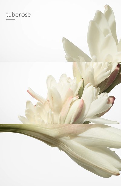 Парфюмерная вода twilly d'hermès (85ml) HERMÈS, арт. 36988H, фото 5