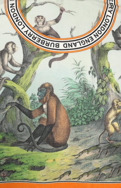 Кашемировый шарф BURBERRY зеленого цвета по цене 116500 руб., арт. 8026992, фото 3 Кашемировый шарф BURBERRY, арт. 8026992, фото 3