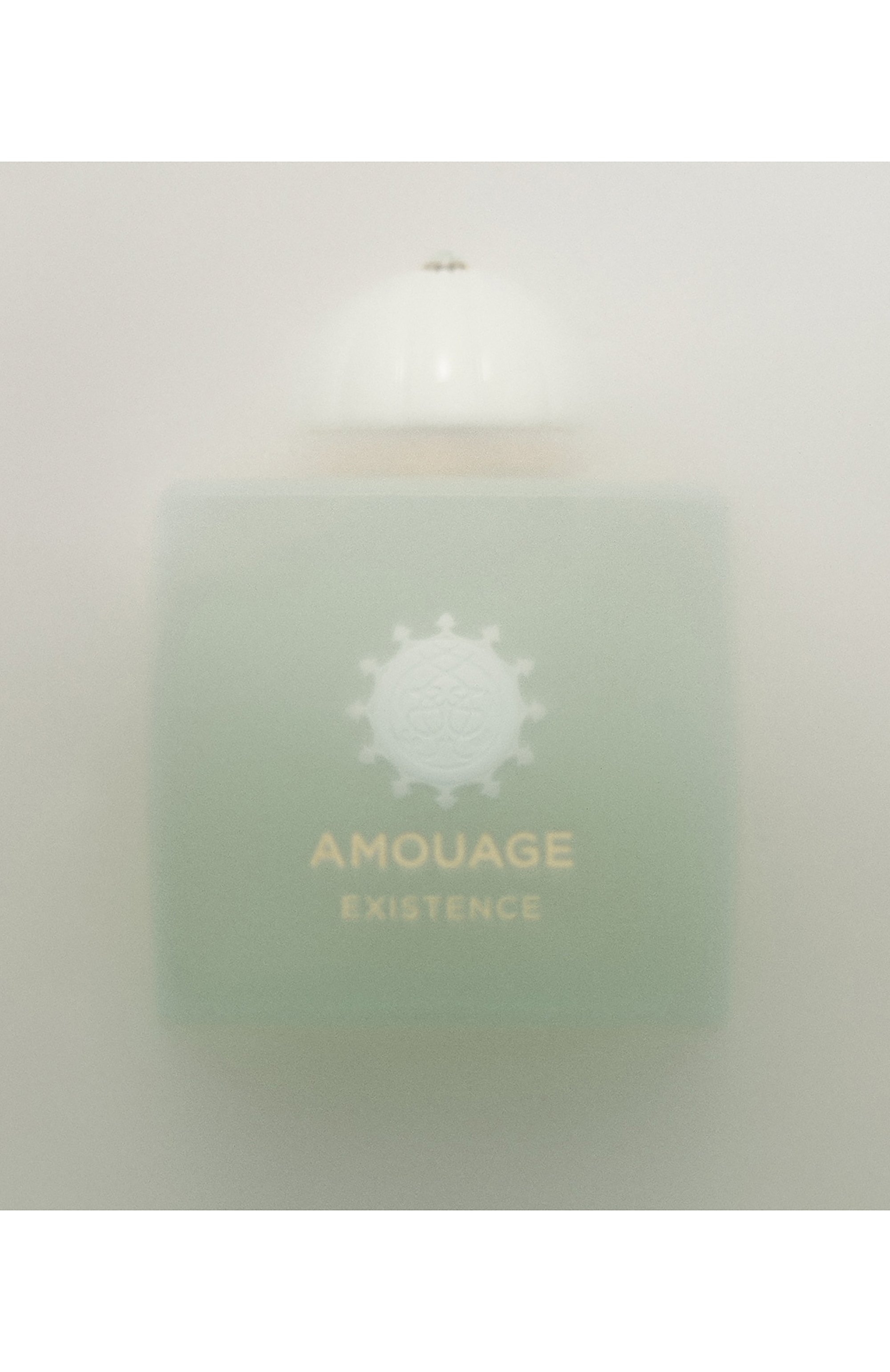 Парфюмерная вода existence (100ml) AMOUAGE, арт. 41117, фото 3