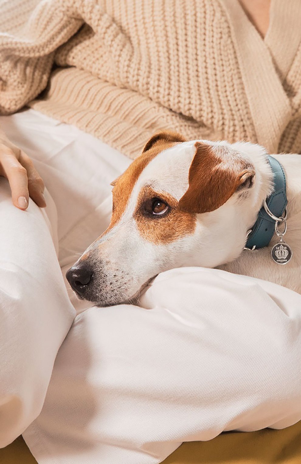 Медальон на ошейник royal jack CHRISTOFLE, арт. 05271000, фото 4