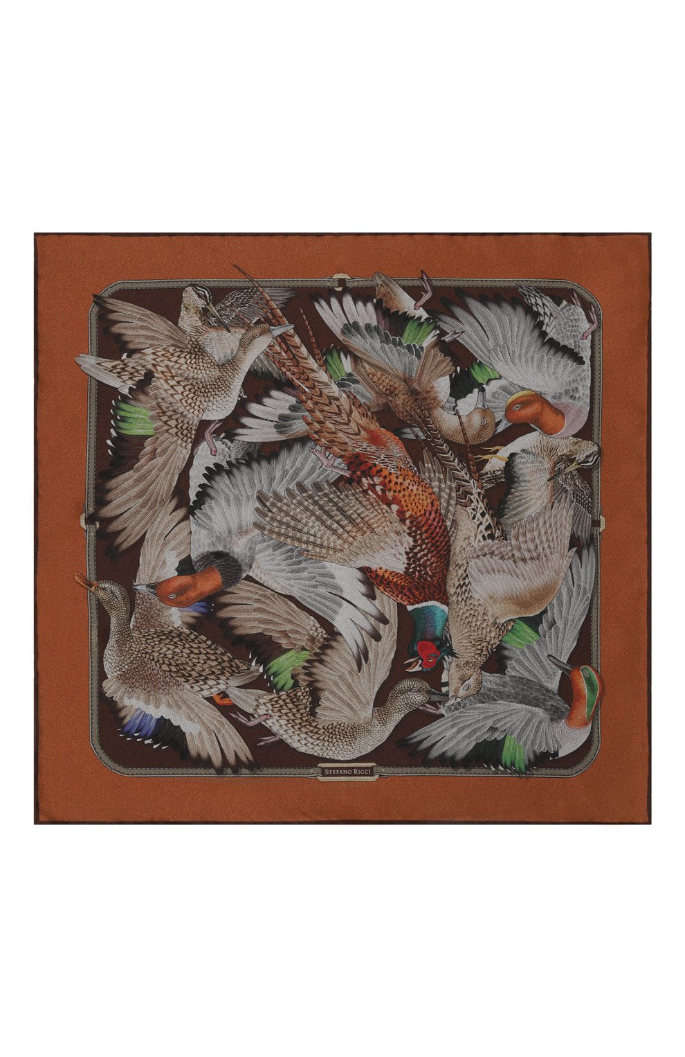 Шелковый платок STEFANO RICCI, арт. FZSR14/13709, фото 3