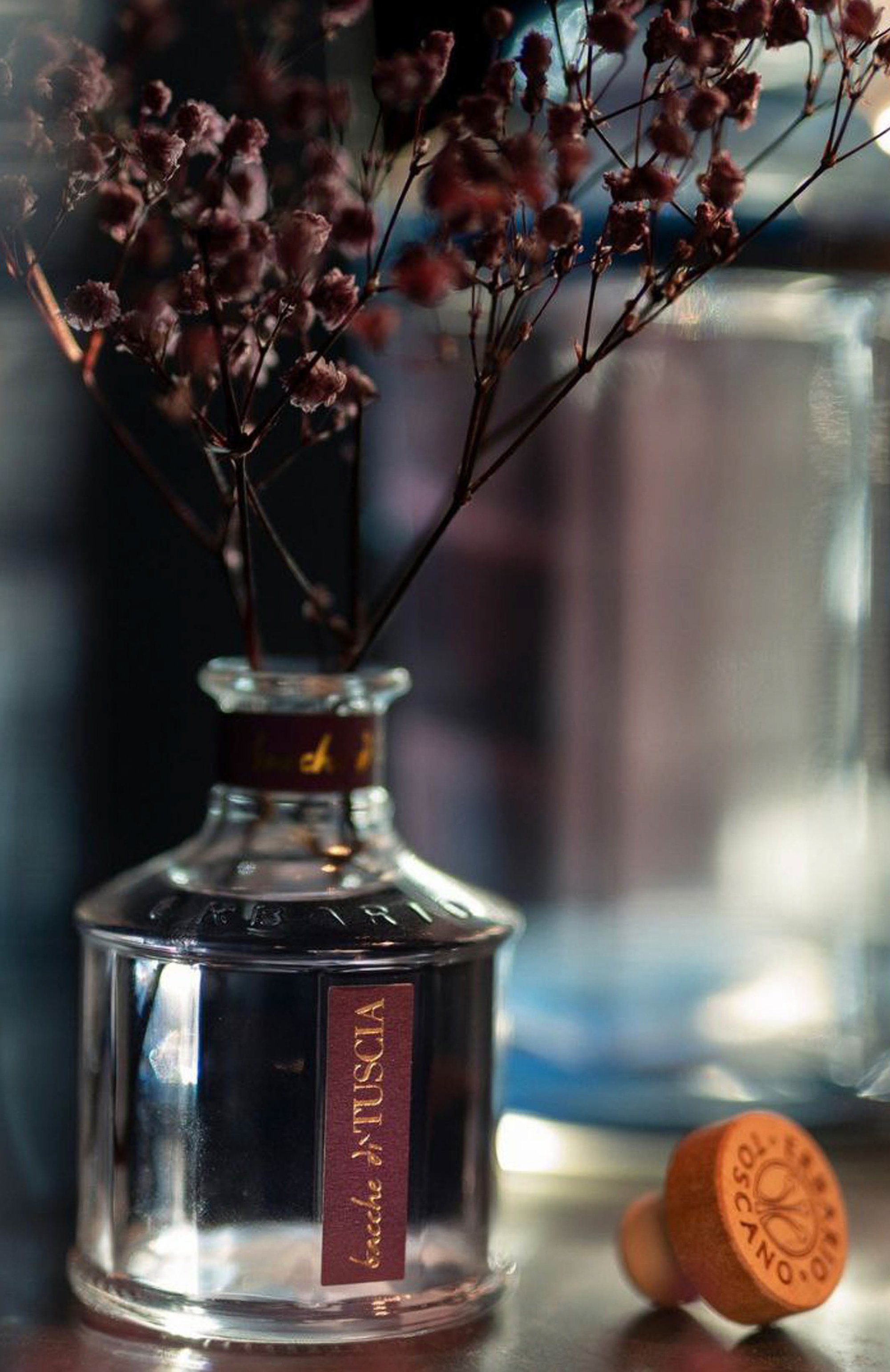 Диффузор bacche di tuscia (500ml) ERBARIO TOSCANO бесцветного цвета по цене 15200 руб., арт. DA50BT, фото 4 Диффузор bacche di tuscia (500ml) ERBARIO TOSCANO, арт. DA50BT, фото 4