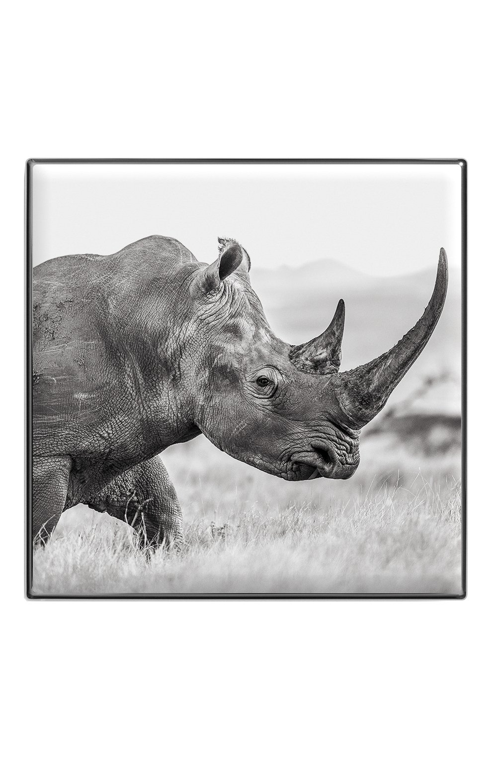 Тени для век luminescent eye shade, оттенок rhinoceros CHANTECAILLE, арт. 656509172078, фото 2
