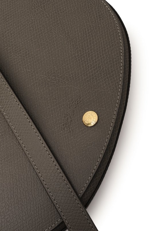 Сумка Épure medium Longchamp 10296HYZ/HYZ Серый  10296HYZ/HYZ Фото 6