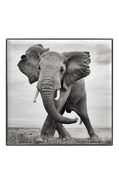 Тени для век luminescent eye shade, оттенок elephant CHANTECAILLE цвета по цене 5280 руб., арт. 656509172047, фото 2 Тени для век luminescent eye shade, оттенок elephant CHANTECAILLE, арт. 656509172047, фото 2
