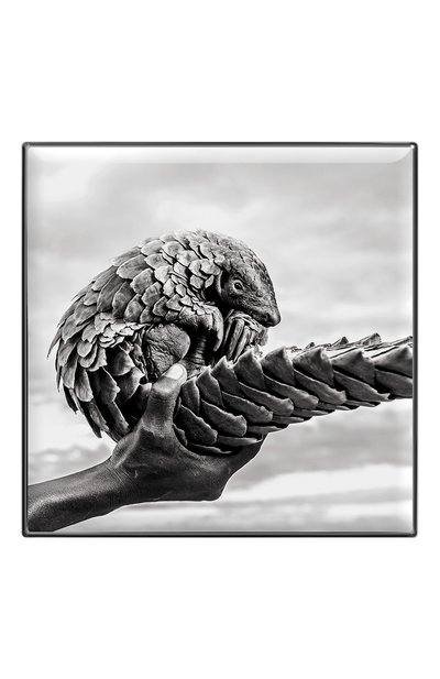 Тени для век luminescent eye shade, оттенок pangolin CHANTECAILLE, арт. 656509172054, фото 2