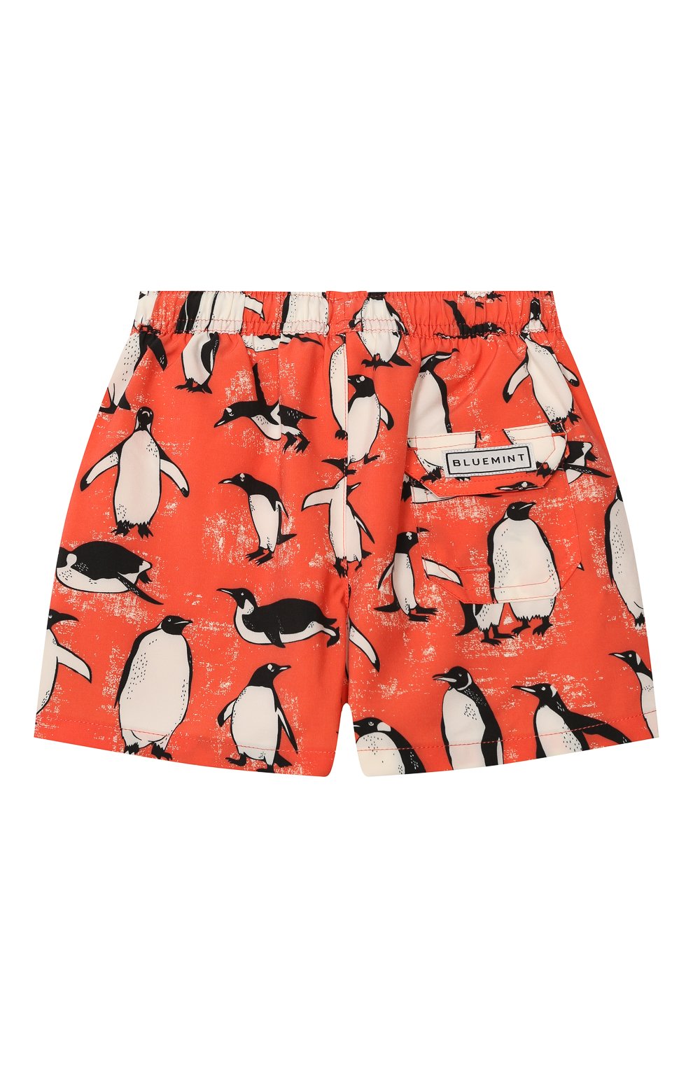 Плавки-шорты BLUEMINT, арт. ARTHUS B0Y STRETCH, фото 2