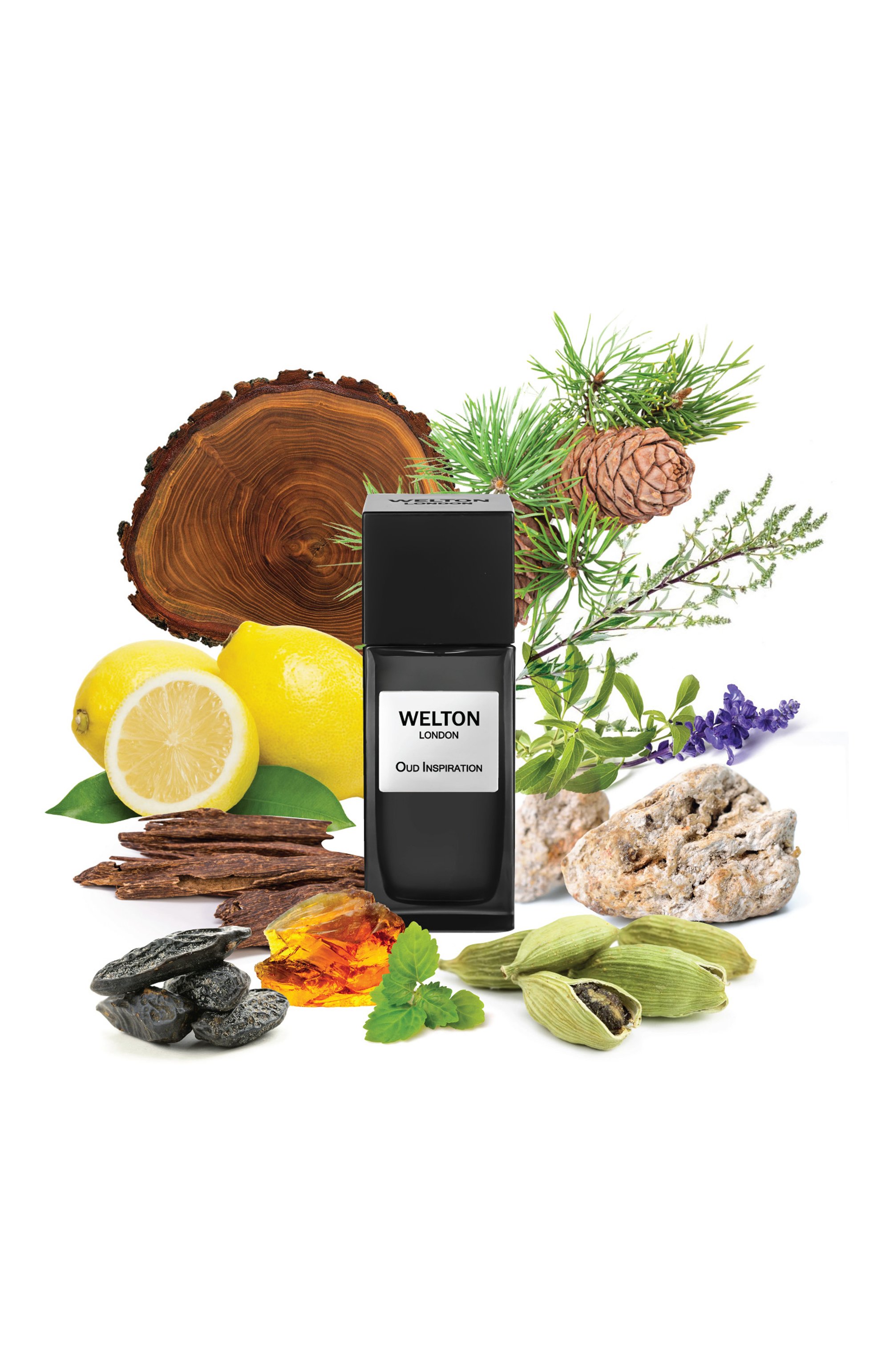 Парфюмерная вода oud inspiration (50ml) WELTON LONDON, арт. 5055404702970, фото 2
