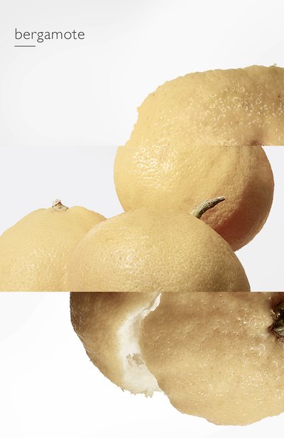 Одеколон eau de narcisse bleu (100ml) HERMÈS, арт. 30570H, фото 4