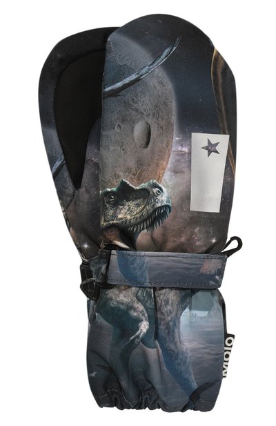 Утепленные варежки MOLO, арт. 7W24S101, фото 1