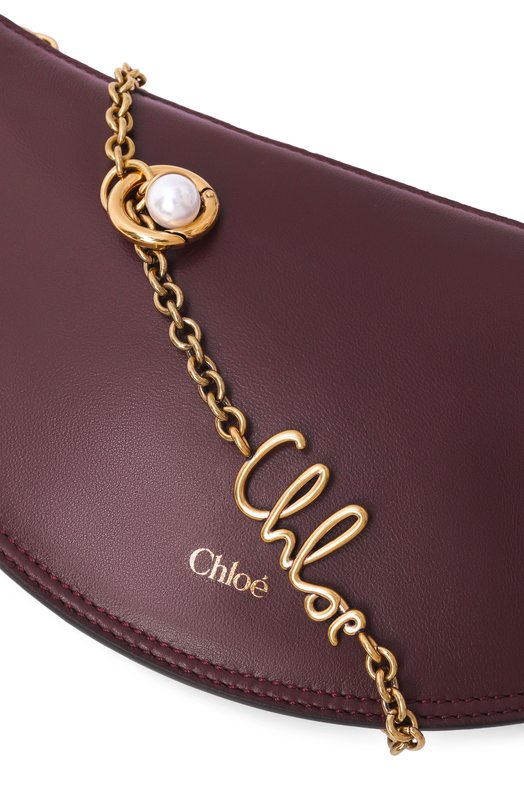 Сумка Icons small Chloé CH25WP124P80 Бордовый  CH25WP124P80 Фото 6