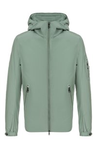 Светло-зеленый