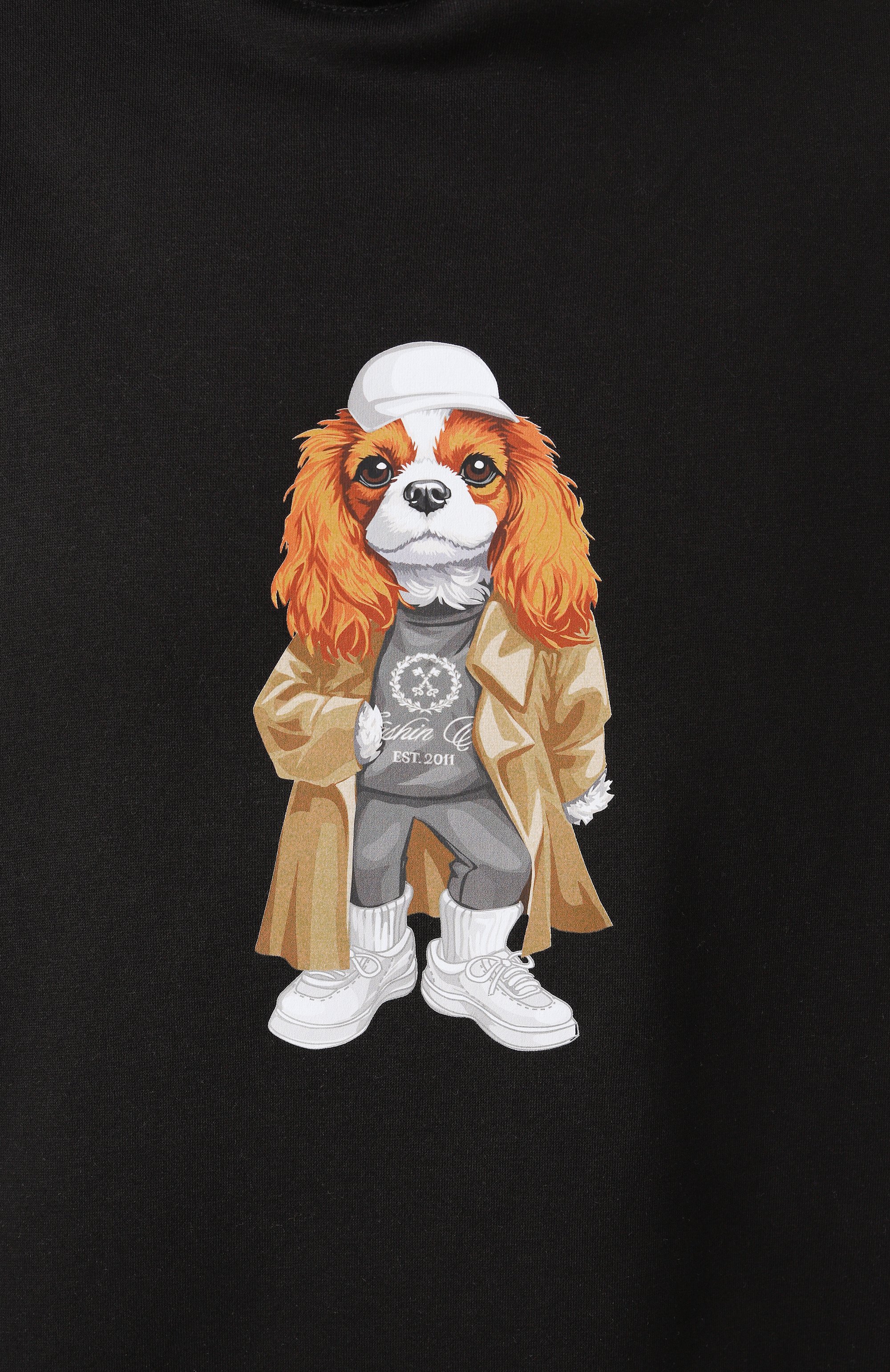 Хлопковое худи FLASHIN, арт. FF25HDOS, фото 6