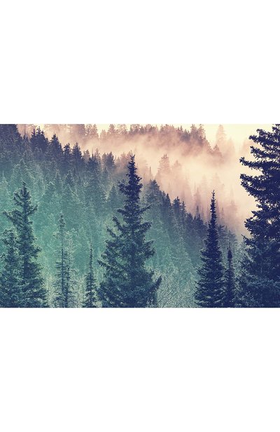 Пазл дерево 200 деталей RAVENSBURGER, арт. 12958