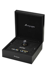 Перьевая ручка хогвартс MONTEGRAPPA, арт. ISHPL2SH, фото 5