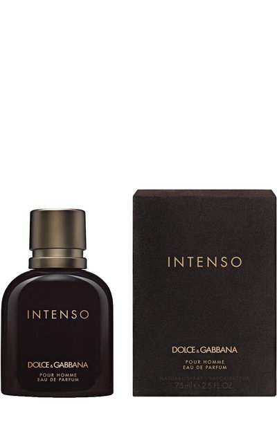 Парфюмерная вода pour homme intenso (40ml) DOLCE & GABBANA, арт. 737052783697, фото 1