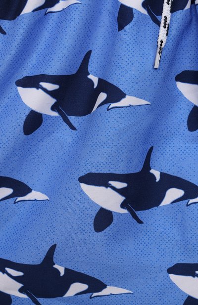 Плавательные шорты SNAPPER ROCK, арт. B90090, фото 3