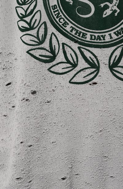 Хлопковый свитшот SSHEENA, арт. 24FWFELPA TF24017, фото 5