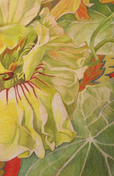 Шелковый платок настурция GOURJI, арт. T21NS7R, фото 5