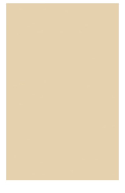 Компактная устойчивая тональная крем-пудра spf15 105 everlasting compact foundatuin CLARINS, арт. 04024310, фото 2