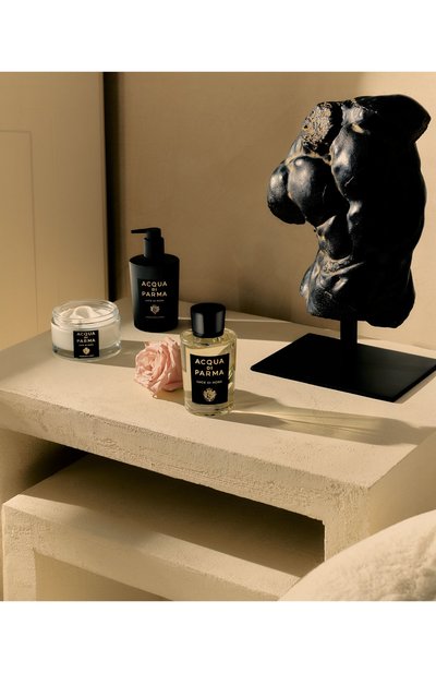 Жидкое мыло для рук и тела luce di rosa (300ml) ACQUA DI PARMA, арт. ADP081925, фото 3