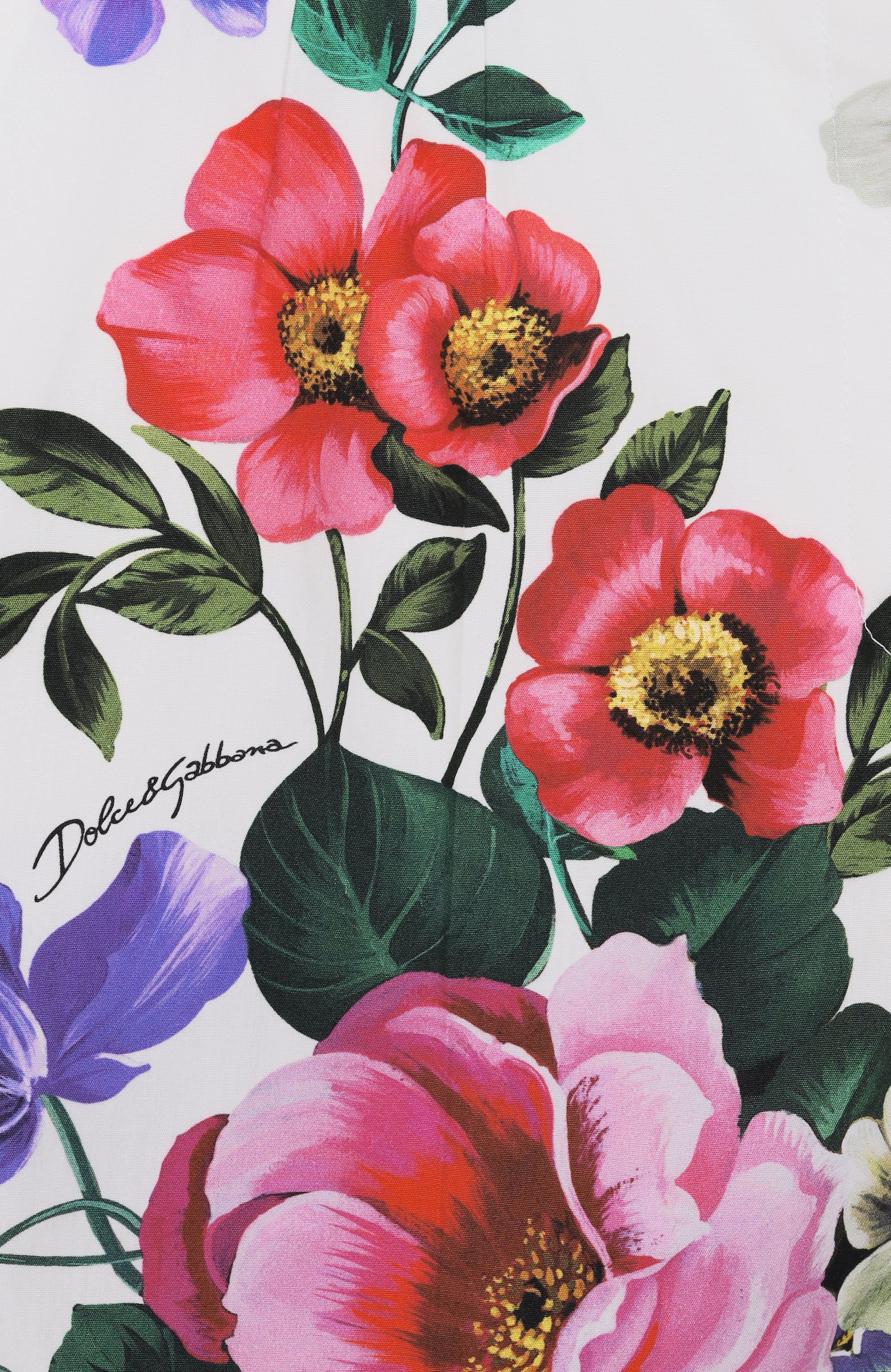 Хлопковые шорты DOLCE & GABBANA, арт. FTC9RT/GDCZQ, фото 6